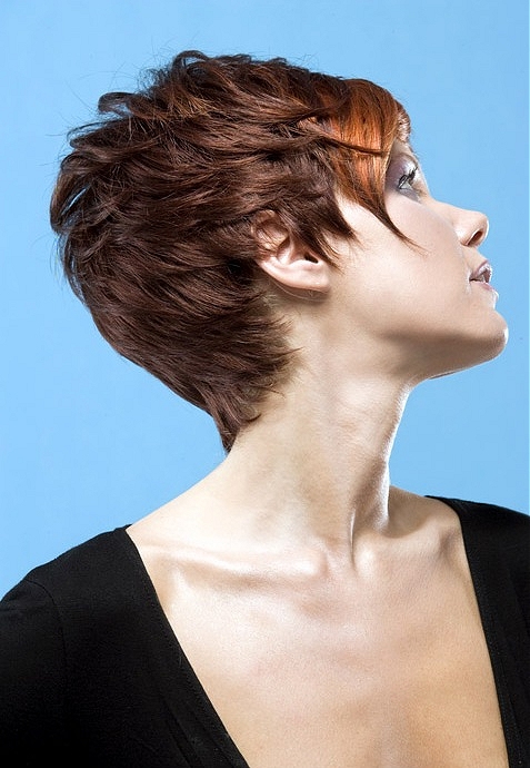 Web Collections short brown Hairstyles